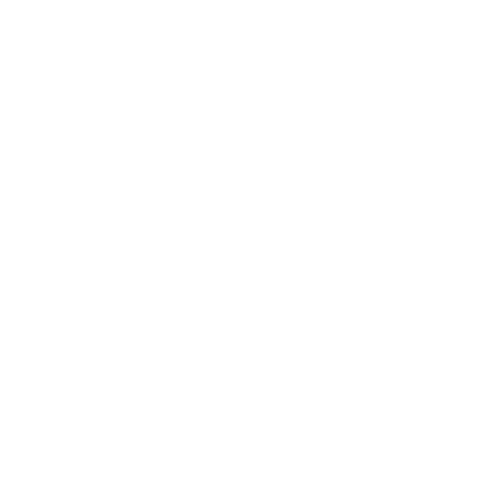 fiio