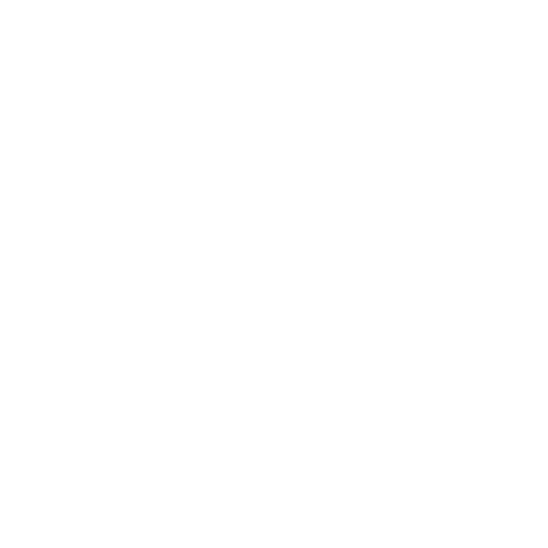 trn