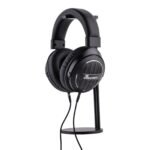 Kiwi Ears Ellipse - Image 4